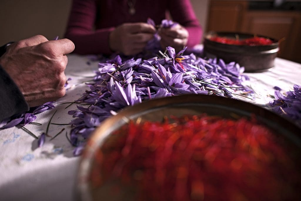 Zaffy Zafferno Italiano di alta qualità